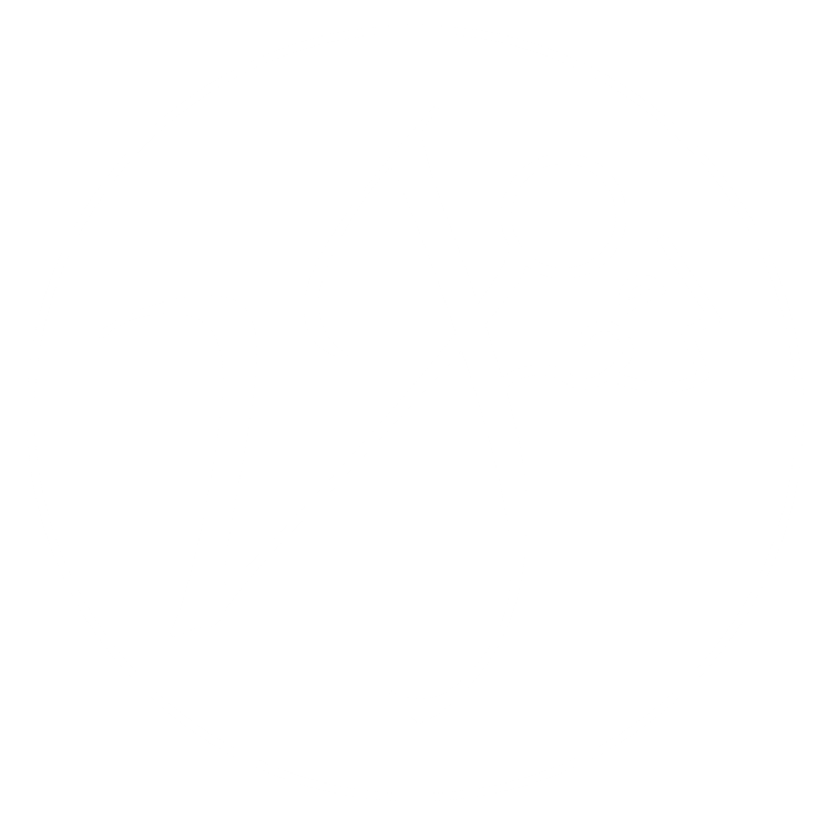 ValdisJansons_logo03 watermark cut